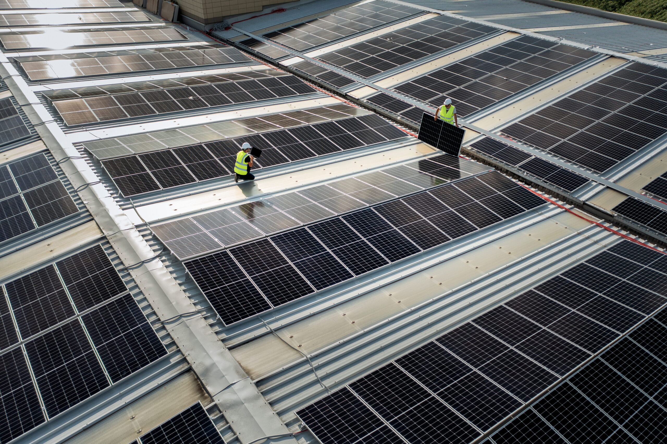 Biosolar Nexus
